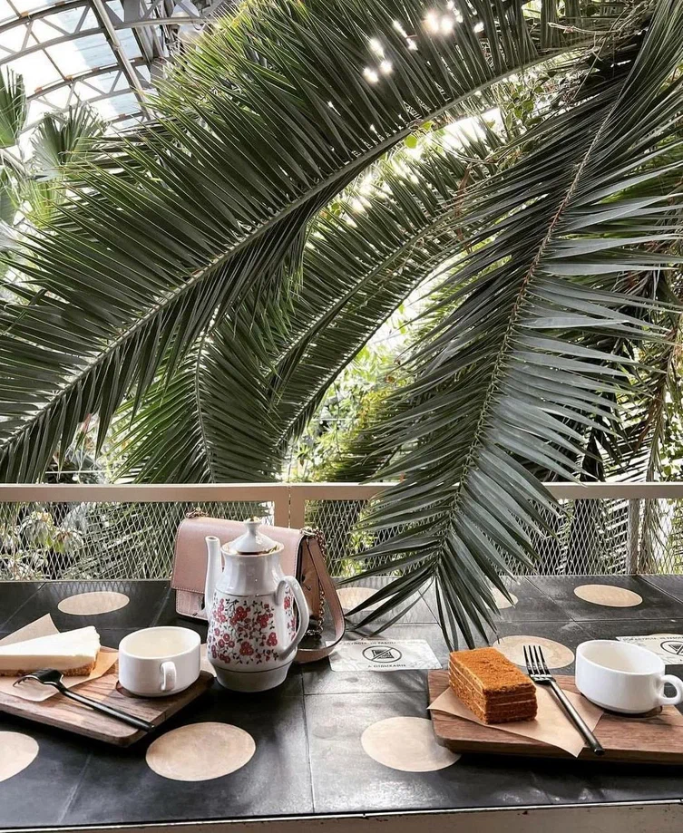 Кафе в Оранжерее Таврического сада☕️ На втором этаже оранжереи работает очень атмосферное кафе с потрясающим тропическим видом График работы с 11-00 до 21-00