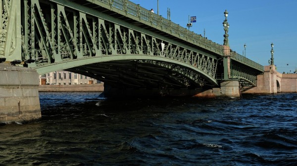Упавшей с моста в центре Петербурга девушке понадобилась госпитализация Упавшей с моста в центре Петербурга девушке понадобилась госпитализация