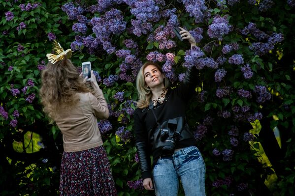 Эксперты рассказали, где в Москве и Петербурге увидеть красивые цветущие сады Эксперты рассказали, где в Москве и Петербурге увидеть красивые цветущие сады