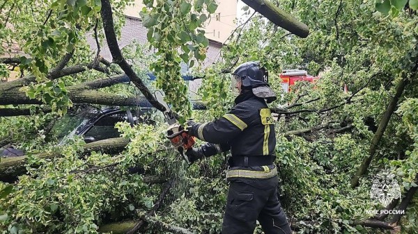 В Ленинградской области шесть человек пострадали при урагане, еще двое погибли В Ленинградской области шесть человек пострадали при урагане, еще двое погибли