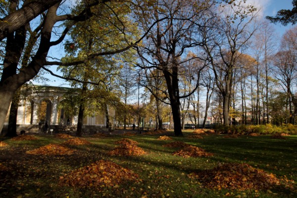 Экономия до 100 тысяч: как бесплатно попасть в платные парки Петербурга Экономия до 100 тысяч: как бесплатно попасть в платные парки Петербурга