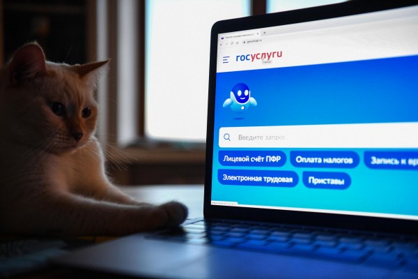 Электронная медицинская карта: как оформить и получить доступ к документу Электронная медицинская карта: как оформить и получить доступ к документу