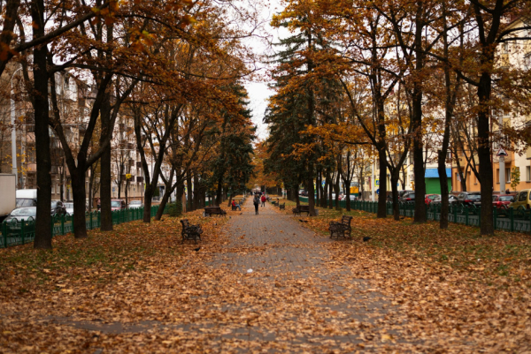 Топ-события Петербурга на этой неделе: Вячеслав Бутусов, Сергей Бобунец и Мари Краймбрери Топ-события Петербурга на этой неделе: Вячеслав Бутусов, Сергей Бобунец и Мари Краймбрери