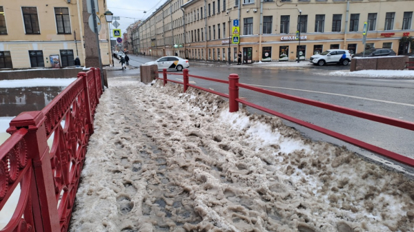 В Петербурге задействовали более 700 машин и тысячу уборщиков для борьбы со снегом В Петербурге задействовали более 700 машин и тысячу уборщиков для борьбы со снегом