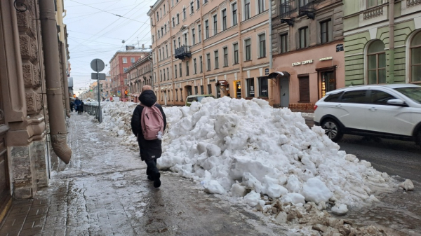 В Петербурге ежедневно вывозят тысячи самосвалов снега с городских улиц В Петербурге ежедневно вывозят тысячи самосвалов снега с городских улиц