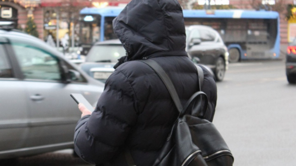 Интерес к подработкам среди студентов вырос почти в полтора раза за год