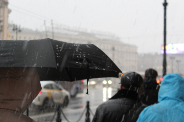В Тюмени после ливня автомобилисты массово ищут потерянные номера В Тюмени после ливня автомобилисты массово ищут потерянные номера